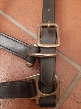 Lederhalfter für Warmblutpferde