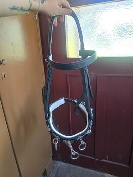 Kappzaum aus Leder von USG Gr. COB, Ratsch, Lunging, Wilkau-Haßlau