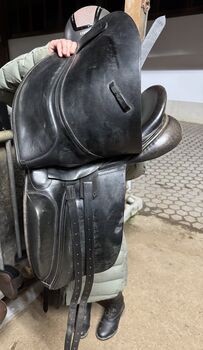County Competitor 16,5 Dressursattel County Competitor