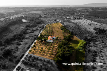 Landgut in Portugal mit Olivenhain und 2.3 ha Land, Conny, Equestrian Properties, Casal da Azinheira
