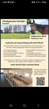 Große Box , Offenstall, Sophia, Horse Stables,  Barnstädt