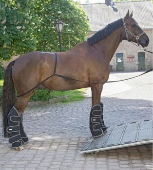 Verladehilfe / Hängerleine, Hilweg Carina, Lunging, Innsbruck