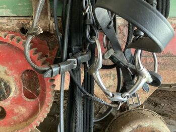 Trense aus Leder, Ulrike Meilgen, Bridles & Headstalls, Saarbrücken