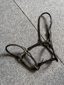 Leder Halfter, Isabelle Saladin, Halters, Hofstetten 