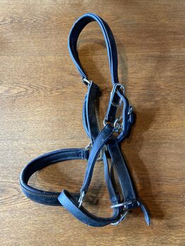 Lederhalfter WB, AS, Halters, Oelde