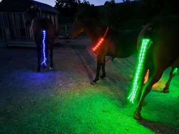 LED Sicherheitsleuchte Vorgeschirr- und Schweifleuchte SET, Hellleuchtendes Vorgeschirr und Schweifleuchte, Sandra Anna, Riding Helmets, Tecknau