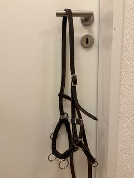 Leder Kappzaum, Désirée, Lunging, Uerzlikon