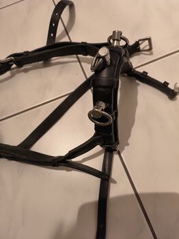 Leder-Kappzaum schwarz, Mirjam, Longieren, Baden-Dättwil AG