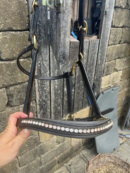 Lederhalfter, Brigitte Krassnig, Halters, Lauterach