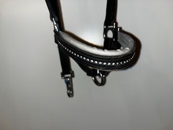 Lederhalfter, Lederhalfter, Sarah , Halters, Poppenhausen