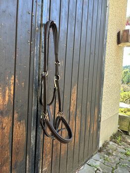 Lederhalfter Showmaster Braunes Lederhalfter