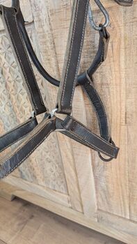 Lederhalfter Warmblut