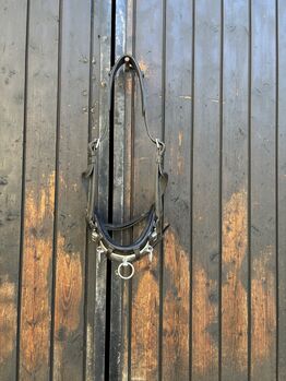 Lederkappzaum, Lederkappzaum, Iris, Lunging, Weiz