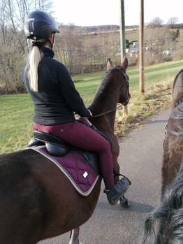 Maya Dolorenz Reitleggings, Maya Delorez Adelina Performance Breeches, Emmely Schuster, Bryczesy, Königstein 