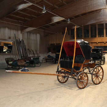 Leitert Doktorwagen Kutsche Scheibenbremsen Leder Holz, Leitert Doktorwagen, Niklas Jäger (2ndTrade e.K.), Carriages, Wolnzach