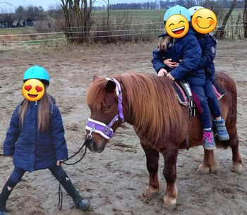 Reitunterricht Reittherapie Kindergeburtstag, Franzi, Nauka jazdy konnej, Ebsdorfergrund