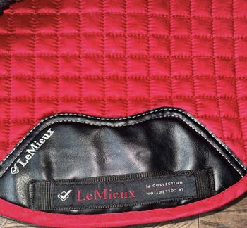 Lemieux Chilli GP Saddle Pad & Fly Hood Set Size L LeMieux Chilli