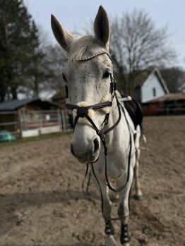 LeMieux Trense, Le Mieux , Sophie, Bridles & Headstalls, Kühren