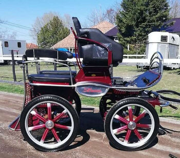 Leon von Hansmeier - Trainingswagen zu verkaufen, Leon , Manuela , Carriages, Pöttsching