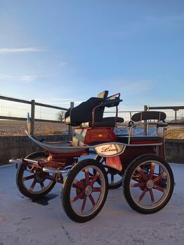 Leon von Hansmeier - Trainingswagen zu verkaufen Leon 