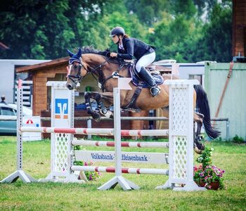 Lehrmeister mit Erfahrung