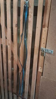 Ausbinder leder, Tina, Lunging, Frankenthal (Pfalz)