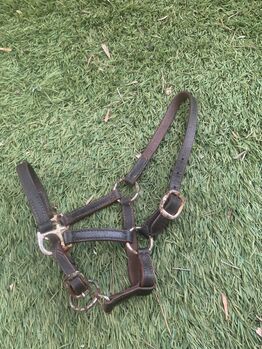 Leather halter for pony