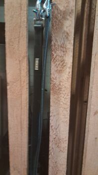 Ausbinder aus leder, Tina, Lunging, Frankenthal (Pfalz)