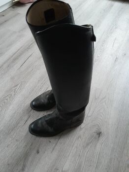 leder reitstiefel cavallo gr 37 1/2, cavallo , lena, Riding Boots, Norden