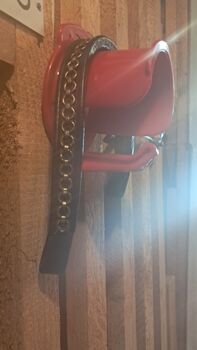 Trensenstirnband Leder, Tina, Browbands, Frankenthal (Pfalz)
