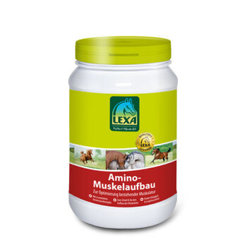 LEXA Amino Muskelaufbau 1,2kg UVP25,30€ LEXA Amino Muskelaufbau