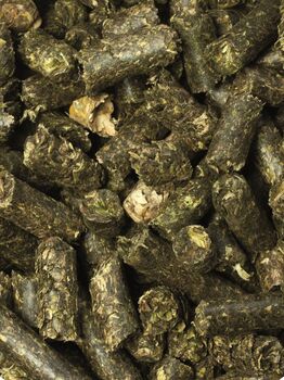 LEXA Luzernecobs, Luzerne, Pferdefutter, 25 kg LEXA, Xaver Scheule GmbH Luzerne Cobs 25 kg