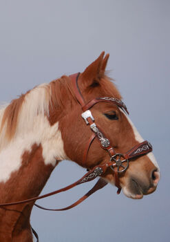 LG Zaum / Trense Unikat Cob/ Vb, Caitlin Roßner, Bridles & Headstalls, Weisendorf 