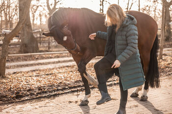 Reitbeteiligung (Pferd sucht Mensch)