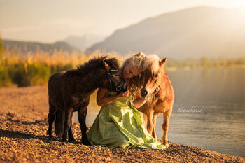 Pony Reitbeteiligung, Adriane Schmedemann Reitschule, Horse Sharing, Schonstett 