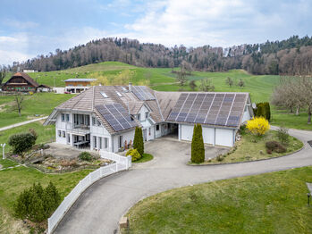 Lichtdurchflutete Landhaus-Villa mit Pferdestallungen