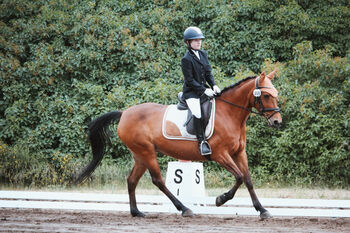 Liebe Pony-Oma