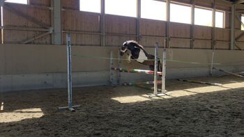 Liebenswerter Allrounder