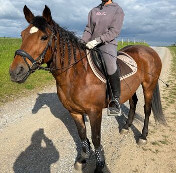Liebes Pony abzugeben