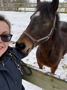 Liebevolle Ponystute zum Weiterausbilden, Katrin, Pferd kaufen, Berlin
