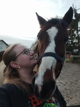 Liebevoller Pferdemensch gesucht, Eileen, Horse Sharing, Oberhausen-Rheinhausen