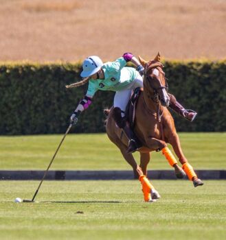 Liebe 14-jährige Stute