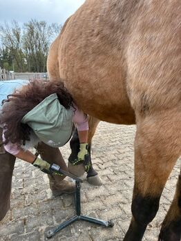 Hufwechsel - Equine Podologie, Susanne Pourroy , Therapy & Treatment, Finning