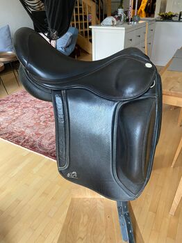 Lipperthof Deluxe, Lipperthof  Deluxe , Steffi , Icelandic Saddle, Steyr