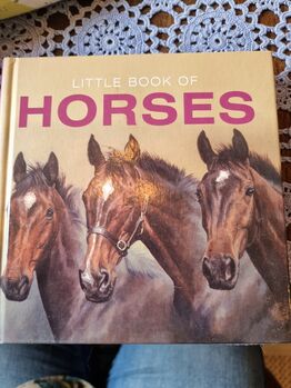 Little Book Of Horses, Heike, Books, Alsbach-Hähnlein