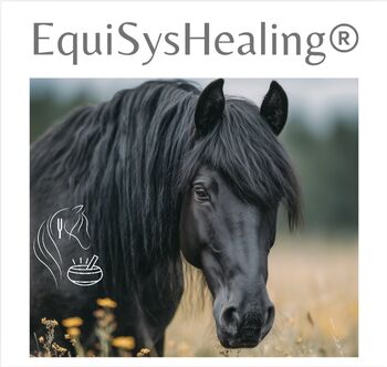 Pferdeklangtherapie, GWSA & Heilströmen für Pferde, EquiSysHealing® by Anca , Anca Dirkmann , Therapy & Treatment, Rheine 