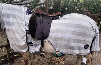 Fliegen-Reitdecke v. Loesdau mit Halsteil, Loesdau, Uli Moellmann, Horse Blankets, Sheets & Coolers, Holtland 