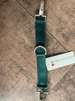Longierbrille unbenutzt, Lawrenz, Lunging, Hamminkeln