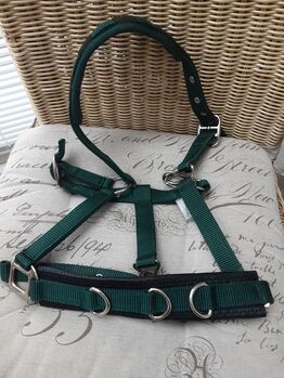 Longierhalfter Showmaster