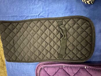 Longier Pad, Heike, Lunging, Alsbach-Hähnlein